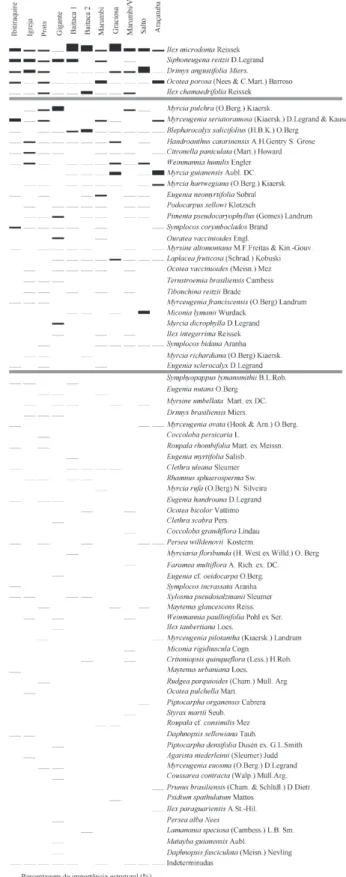 Figura 6. Espécies em ordem decrescente de porcentagem de importância  estrutural nas fl orestas altomontanas amostradas em 11 levantamentos fi  tos-sociológicos de nove subserras do Paraná