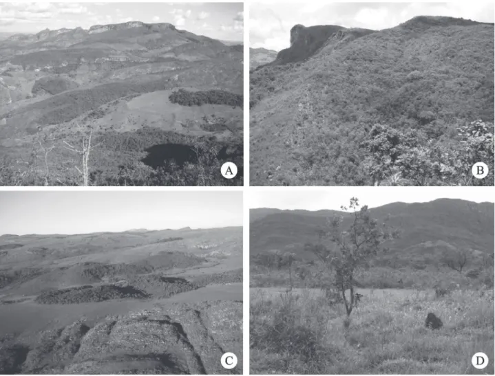 Figura 2.  Paisagens e fi tofi sionomias na Serra do Cipó. A. Área de estudo à leste da Serra do Cipó vista a partir do alto da escarpa