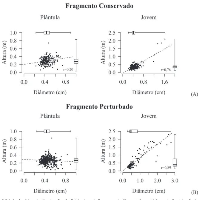 Figura 3. Relações alométricas entre diâmetro e altura de plântulas e jovens de Hymenaea courbaril L