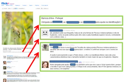 Figura 4 - Comentários colaborativos na classificação de uma espécie  fotografada. Fonte: Flickr.