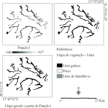 Figura 6. Imagem da função discriminante 1, classiﬁ cação por fatiamento da função discriminante 1 sobre variáveis morfométricas para a mata do Parque Nacional  de Brasília e mapa de vegetação referência.