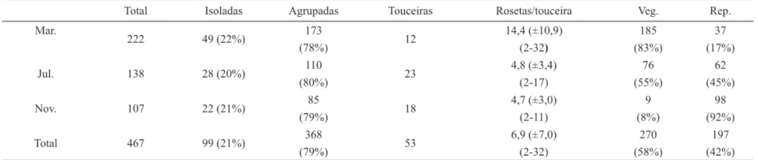 Tabela 1. Número de rosetas de Syngonanthus chrysanthus coletadas em quadrados de 10 x 10 cm em março, julho e novembro de 2006 (n = 9 por período) em  baixadas úmidas entre dunas na Praia da Joaquina, Florianópolis, SC