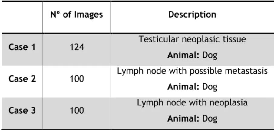 Table I. Characterization of the three image datasets studied in this work. 