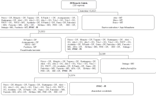 Figura 2. Classiﬁ cação pelo método TWINSPAN de 28 matas de galeria ao longo do bioma Cerrado e 320 espécies arbóreas, com respectivos autovalores e espécies  indicadoras