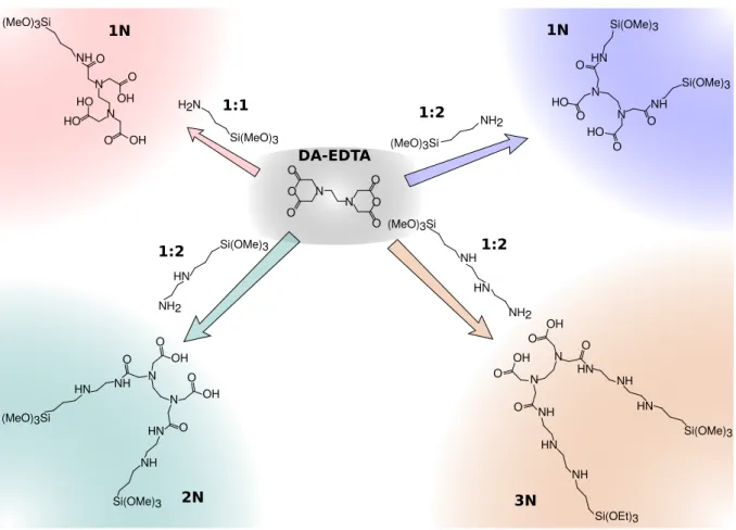 Figura 3.1 – Representação esquemática para os aminoalquil alcoxissilanos 1N, 2N e 3N sintetizados a partir do DA-EDTA, nas razões (1:1) e (2:1).