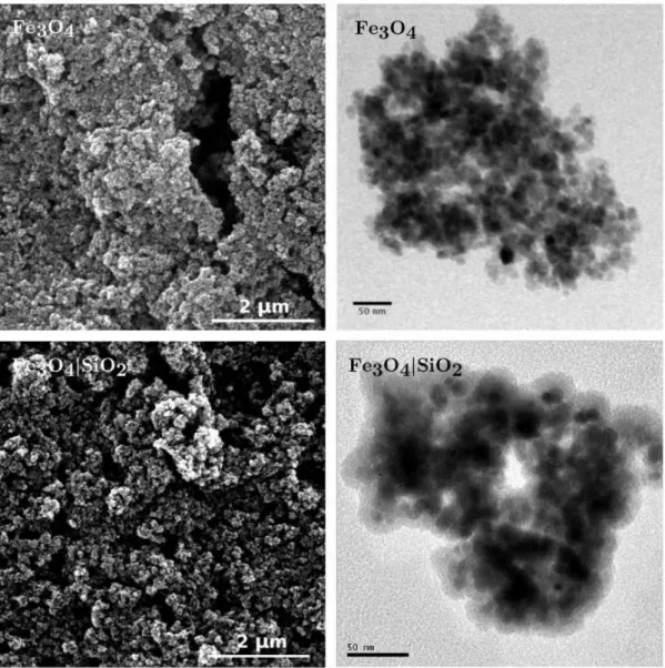 Figura 4.2 – Imagens representativas obtidas por SEM (à esquerda) e TEM (à direita) para os materiais Fe 3 O 4 e Fe 3 O 4 |SiO 2 .