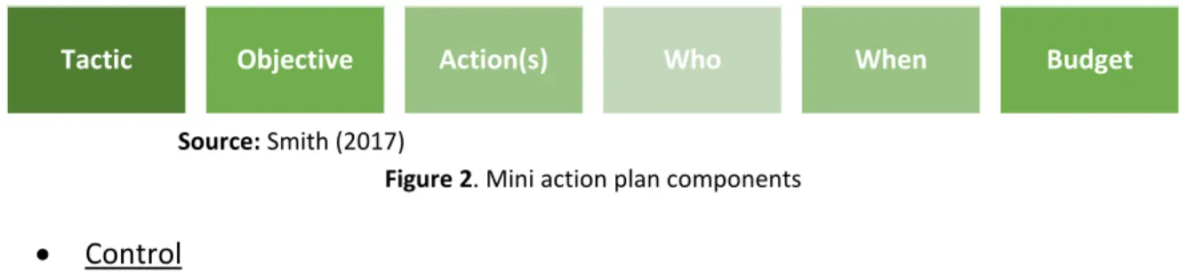 Figure 2. Mini action plan components 