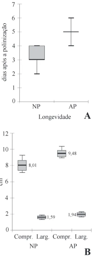 Figura 6. Tabebuia roseo-alba (Ridley) Sandwith. Longevidade (A) e dimensões  (B) dos ovários em pistilos autopolinizados e não polinizados ao abortarem