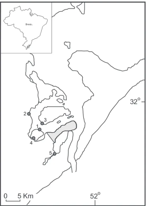 Figura 1. Localização dos pontos amostrados nas marismas do estuário da laguna dos Patos