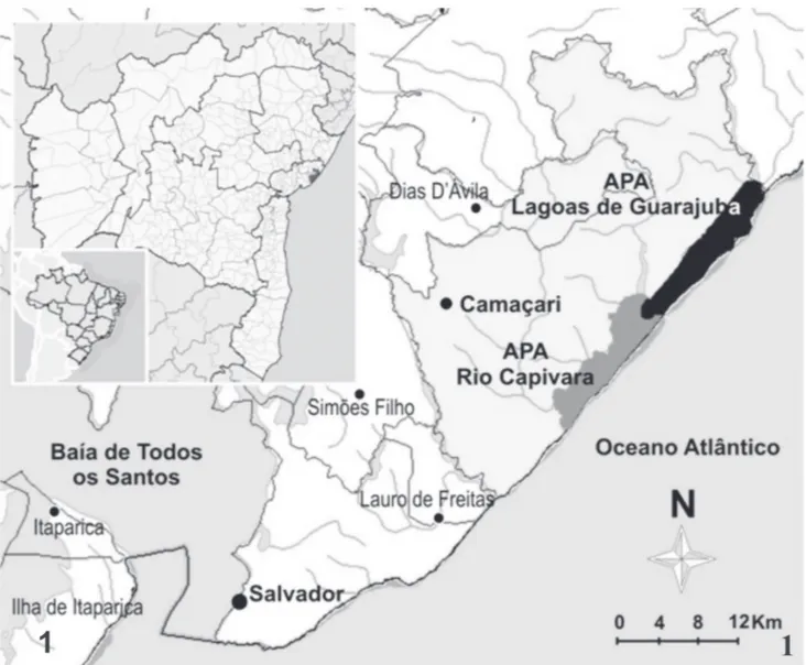 Figura 1. Mapa de localização do estado da Bahia, mostrando em detalhe o município de Camaçari e as duas Áreas de Proteção Ambiental, APA Rio Capivara e APA  Lagoas de Guarajuba.
