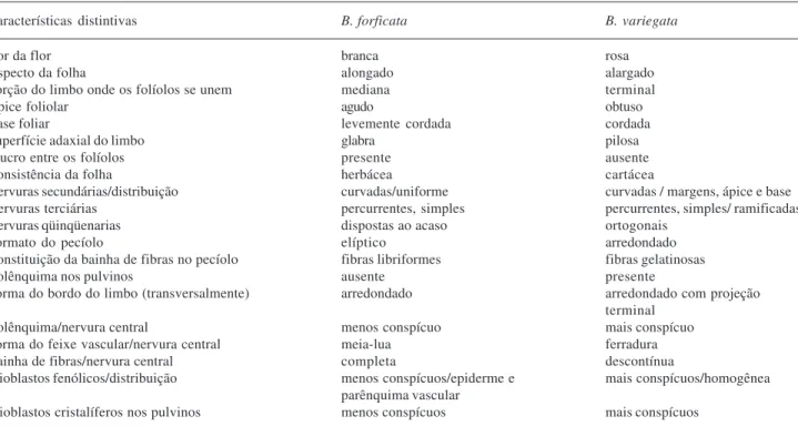 Tabela 1. Caracteres morfoanatômicos diferenciais entre as espécies Bauhinia forficata Link e Bauhinia variegata Linn