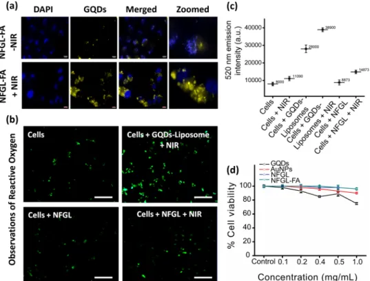Fig. 6 In vitro validations of formulated gold nanoparticles (AuNPs) and graphene quantum dots (GQDs) loaded liposomal nanotheranostics