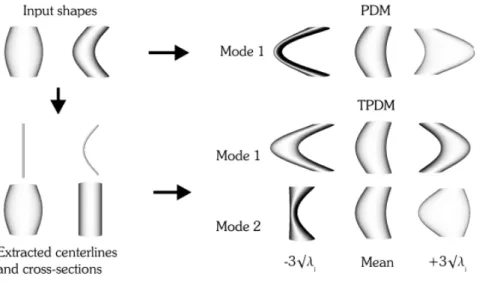 Figure 3.1: Modes of variation found by a single Point distribution model (PDM) and the com- com-bined model (TPDM) built from two illustrative input shapes