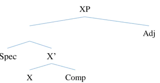 Figure 1 - Syntactic parse tree of XP, a phrase whose head is X. 