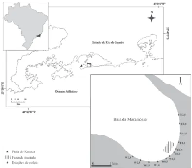 Figura 1. Mapa da baía da Marambaia, inserida na porção sudoeste da baía de Sepetiba, litoral sul do Estado do Rio de Janeiro, Brasil.