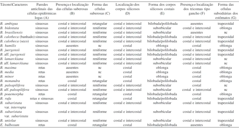 Tabela 2. Comparação entre os táxons de Complexo Briza e Erianthecium Parodi baseada em caracteres da vista frontal da face abaxial da epiderme