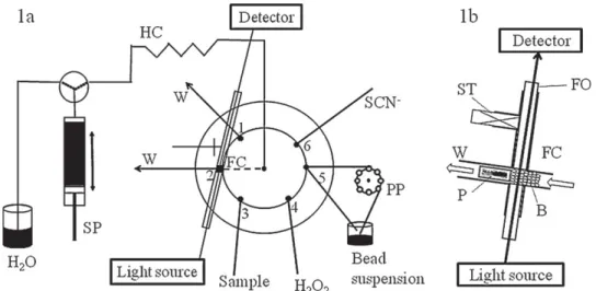 Fig. 1. (a) Configuration of the BI-LOV manifold. (b) Position of the bead column in the flow cell