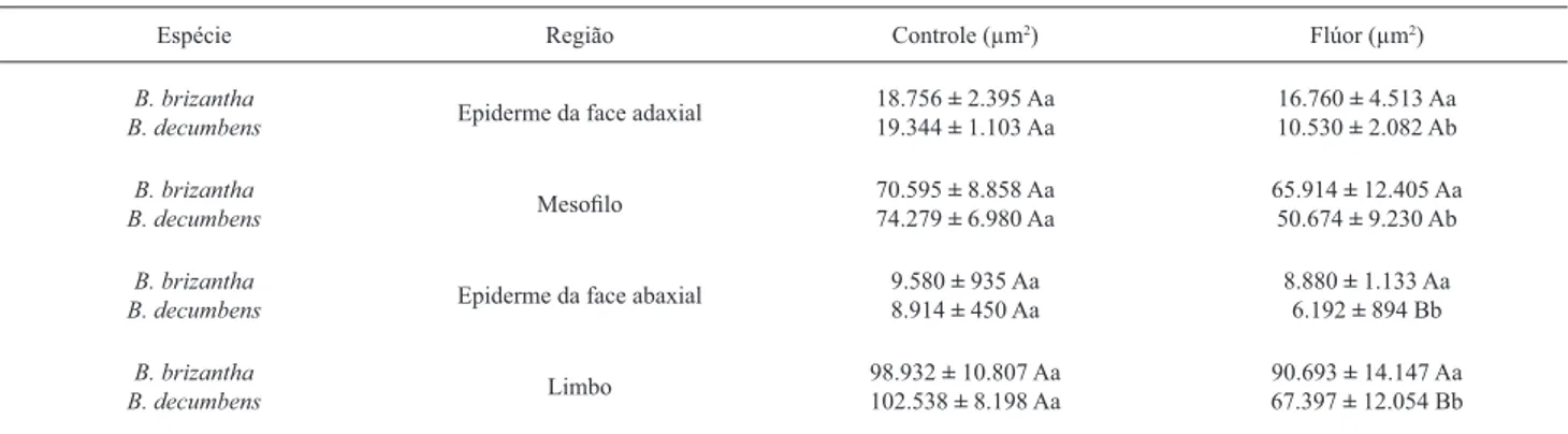 Tabela 2. Área em secção transversal dos tecidos constituintes das folhas de Brachiaria brizantha (Hochst