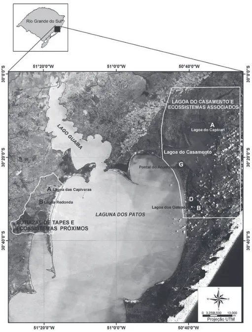 Figura 1. Localização da Lagoa do Casamento e Butiazal de Tapes e seus ecossistemas associados, com indicação das subáreas estudadas em 2003, na Planície  Costeira do Rio Grande do Sul, Sul do Brasil.