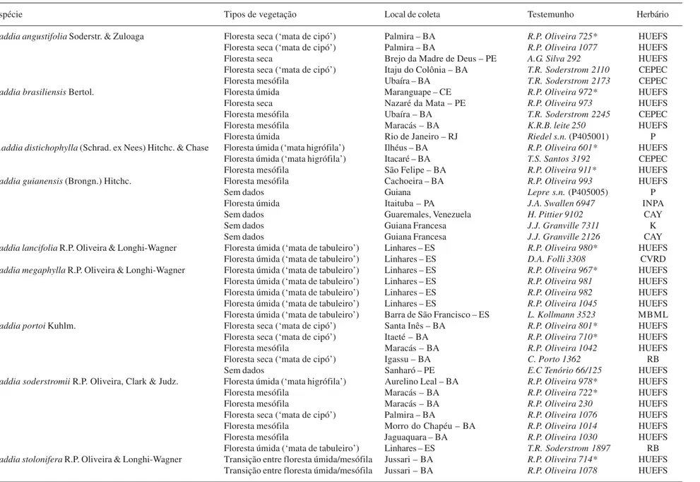 Tabela 1. Exemplares de Raddia Bertol. utilizados na análise da anatomia foliar em corte transversal (*) e análise da epiderme em MEV (sem asterisco).