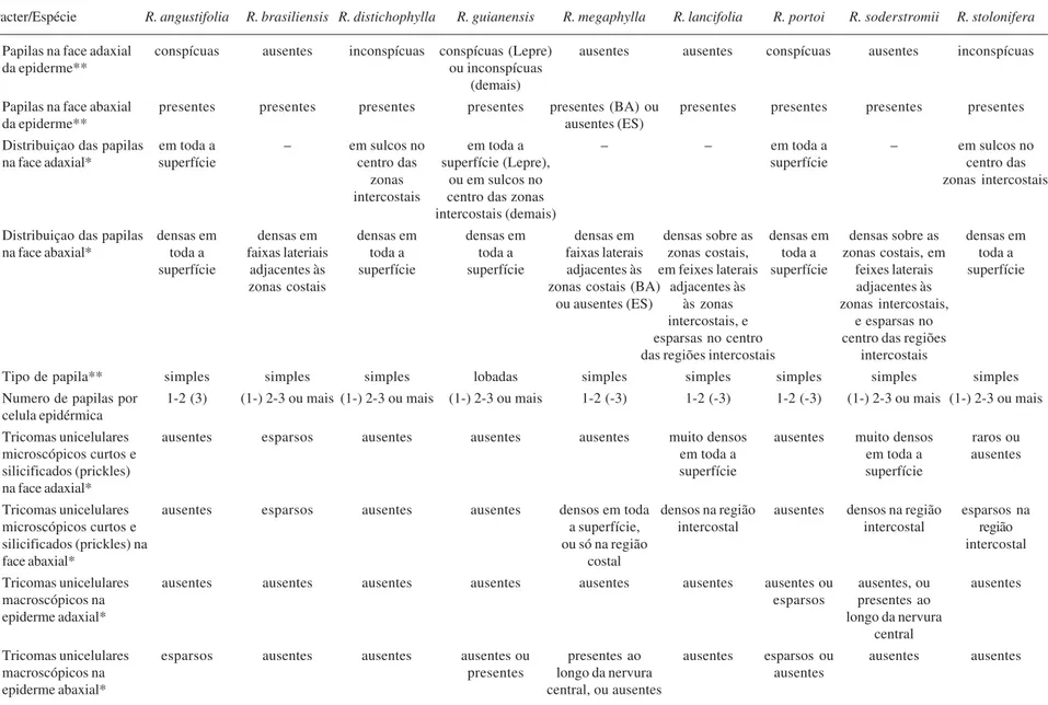 Tabela 3. Caracteres anatômicos analisados em Raddia Bertol. Os caracteres sem asterisco foram visualizados apenas em corte transversal