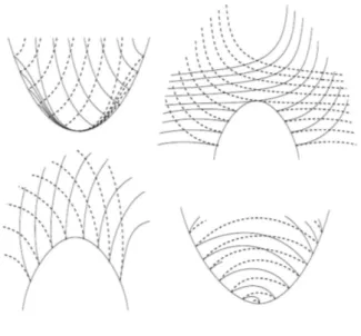Figura 2.2: Linhas assint´oticas pr´oximas a pontos parab´olicos