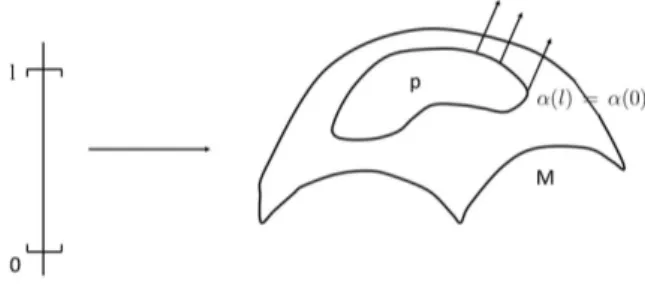 Figura 3.2: Curva α em M