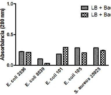Figura  5.  Efeito  do  Ct-OEc  sobre  as  linhagens  de  E.  coli  e  S.  aureus.  Os  resultados foram expressos como média aritmética simples
