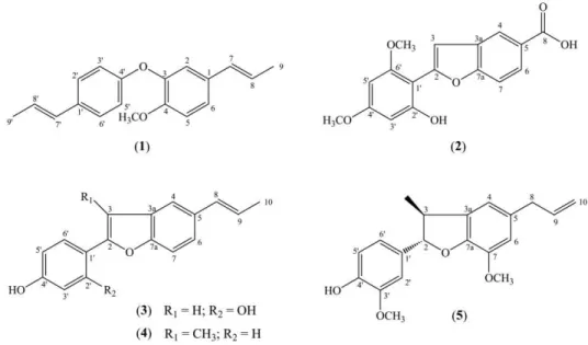 Figura  2  – Estrutura  de  neolignanas  isoladas  das  raízes  de  Krameria  tomentosa