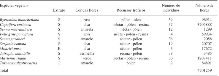 Tabela 5. Espécies predominantemente visitadas por abelhas em seis dias de amostragem, nos meses de fevereiro, abril, junho, agosto, outubro e dezembro, nas dunas de Ibiraba, BA, Brasil