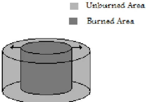 Figure 8 – Areas evolution during the combustion