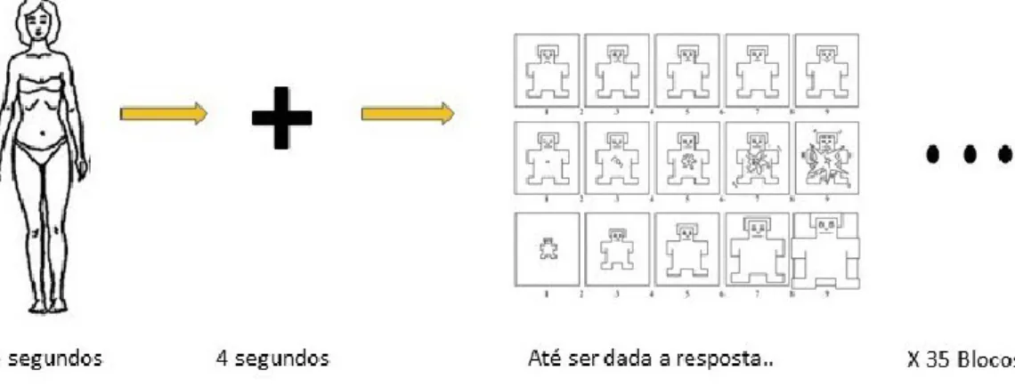 Figura 1. Representação esquemática da tarefa experimental 