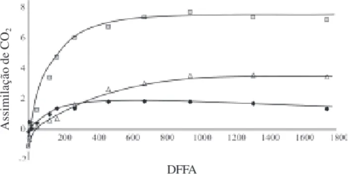 Figura 2. Assimilação de CO 2  (µmol m -2  s -1 ) de folhas de plantas