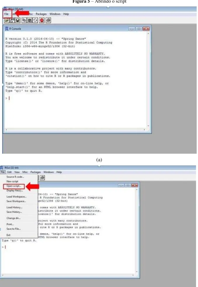 Figura 5 – Abrindo o script 