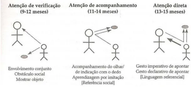 Figura 5. Tipos de interação de atenção conjunta 