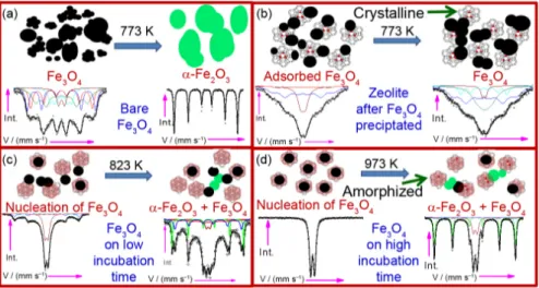 Figure 9. Schematics of the growth of nanoparticles and the thermal treatment effect on (a) pure Fe 3 O 4 ; (b) Fe 3 O 4  adsorbed on zeolite 13x after precipitation; 