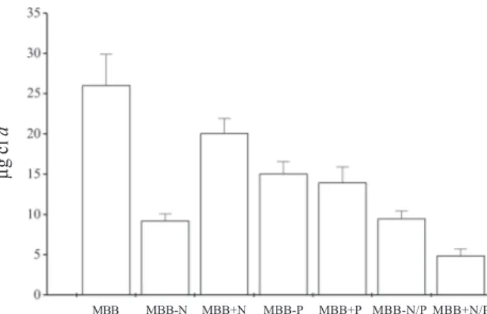 Figura 2. Variação média da biomassa (clorofila a) em Schizomeris leibleinii Kützing durante 50 dias de crescimento em diferentes concentrações de nitrato e fosfato em MBB.