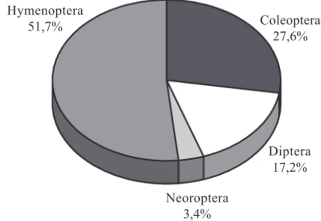 Figura 3. Proporções entre as ordens de visitantes florais de Eugenia uniflora L, E. neonitida Sobral, E