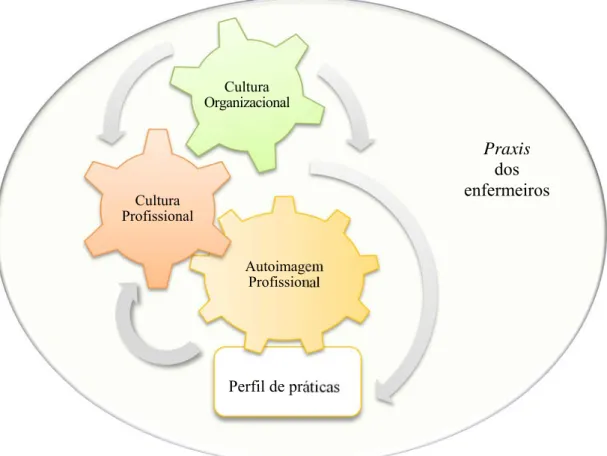 Figura 6 – Dimensões das representações sobre a praxis dos enfermeiros 