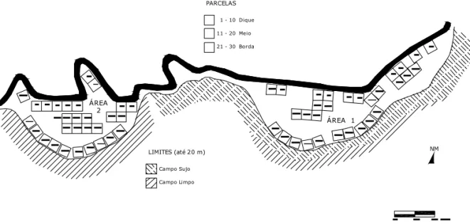 Figura 2. Mapa esquemático das áreas de estudo (áreas 01 e 02), com o desenho da distribuição das parcelas e destaque para os tipos de vegetação limítrofes na época do primeiro levantamento (1989).