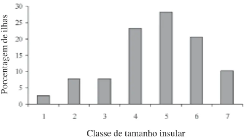 Figura 2. Porcentagem de ilhas por classes de tamanho no Morro do Pai Inácio, Chapada Diamantina, Bahia, Brasil.