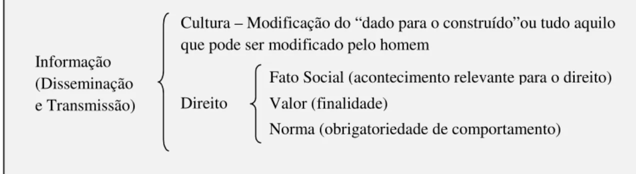 Figura 10 – O papel da informação no processo de construção da norma jurídica 