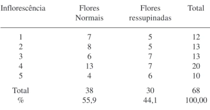 Figura 1. Detalhes das flores de Raphiodon echinus. (Nees &amp; Mart.) Schauer.  a. Vista frontal da flor, mostrando filetes e o lobo da corola recobrindo as anteras (seta)