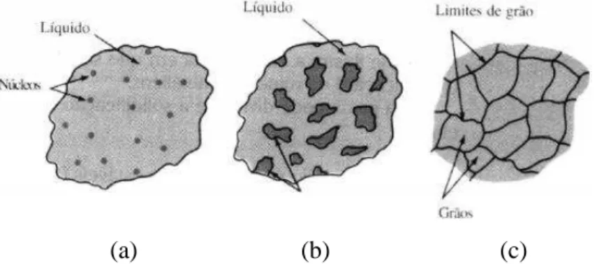 Figura 2.1 - Cristais que formarão o grão (a) nucleação (b) e (c) crescimento 