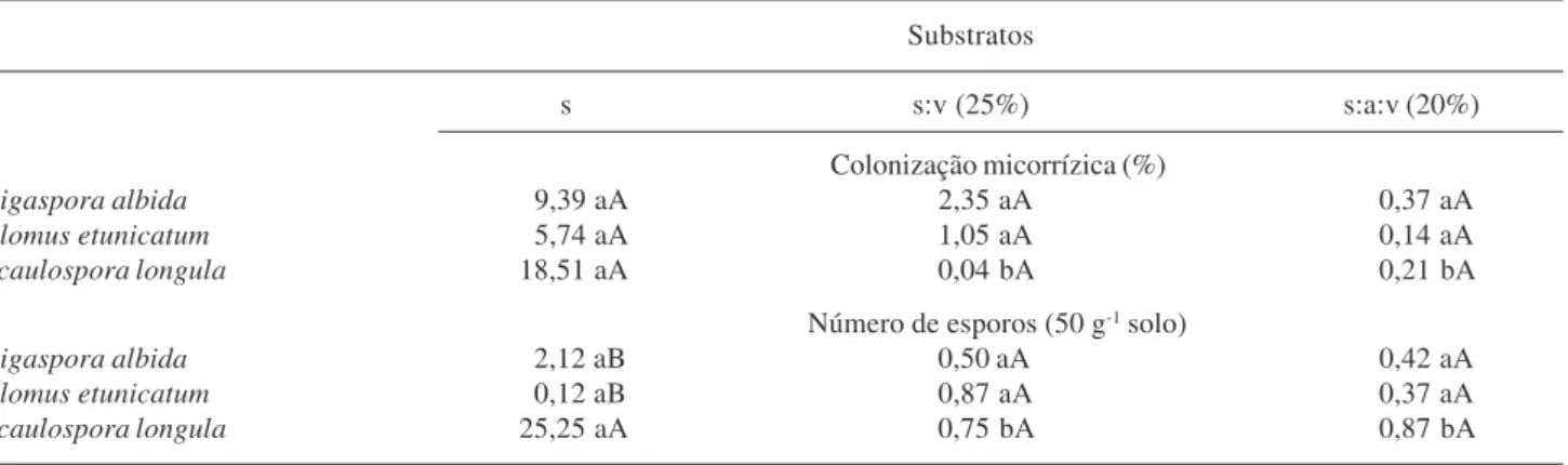 Tabela 4. Colonização micorrízica e produção de esporos de FMA associados a Zingiber spectabile Griff