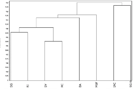 Figura 6. Dendrograma de análise de agrupamento obtido por índice de Jaccard e média de grupo (UPGMA), aplicado às espécies arbóreas amostradas nos oito remanescentes de mata no município de Campinas, SP, Brasil