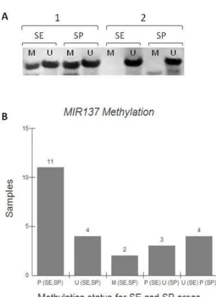 Figure  2  – DNA  methylation  analysis  of  the  MIR137  gene  promoter  of  skin  cells