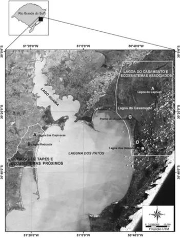 Figura 1. Localização da Lagoa do Casamento e Butiazal de Tapes e seus ecossistemas próximos, com  indicação das subáreas estudadas (A, B, D, G), na planície costeira do Rio Grande do Sul, Sul do Brasil.