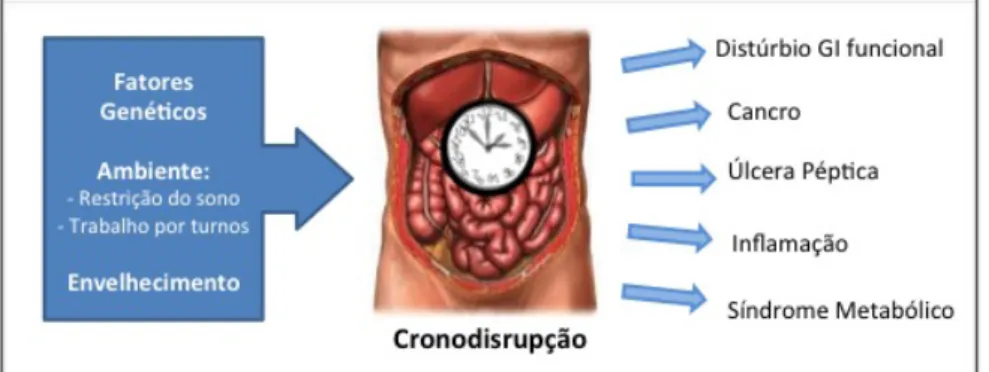Figura   4   -­‐   Consequências   clínicas   da   crono-­‐disrupção   do   trato   GI,   adaptado   de   Konturek   P,    2011