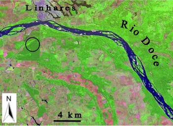 Figura 1. Imagem aérea da Planície Aluvial do rio Doce no município de Linhares (ES), onde foram feitos os estudos citados neste trabalho e onde foram efetuadas as coletas botânicas